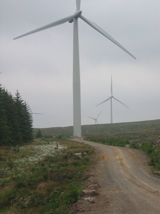 Chris Moon Half Marathon 2010